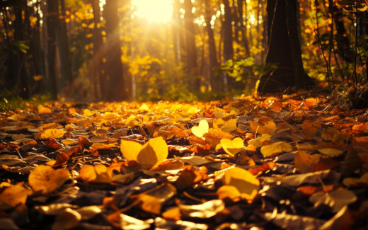 1754496 (a): :1920x1200